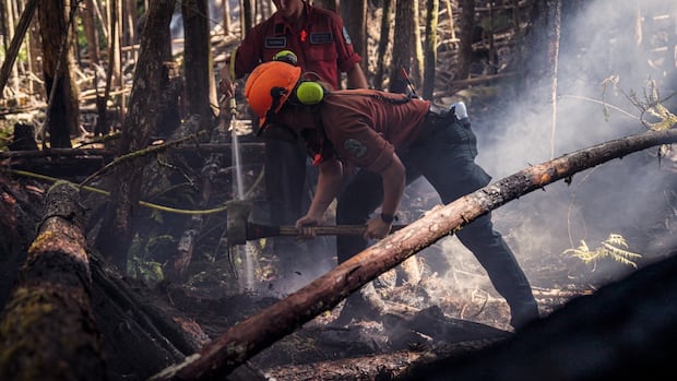 wildfire-that-forced-hundreds-to-flee-on-vancouver-island-now-under-control