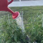 new-brunswickers-look-to-mother-nature-as-province-gets-thirstier
