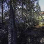 unfavourable-weather-conditions-hindering-long-lake-wildfire-response