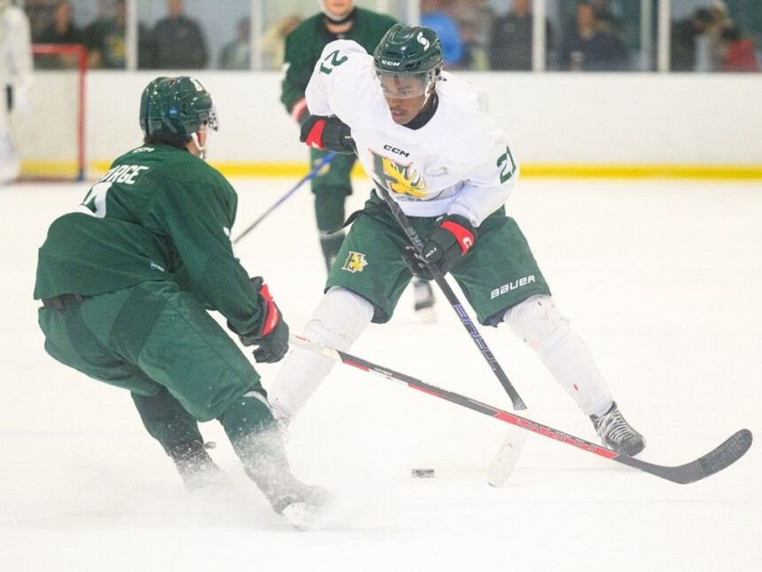 battles-for-roster-spots,-playing-time-up-front-on-display-on-day-1-of-mooseheads-training-camp