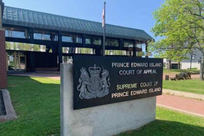 man-charged-with-using-3d-printer-to-manufacture-firearms-parts-elects-pei.-supreme-court