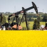 bc.-canola-growers-brace-for-new-chinese-tariffs-as-harvest-approaches