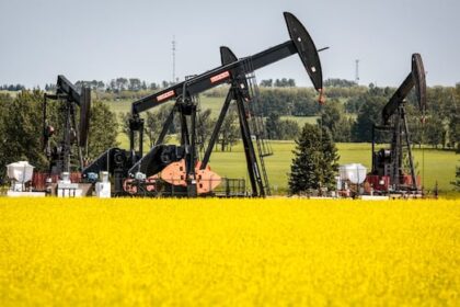 bc.-canola-growers-brace-for-new-chinese-tariffs-as-harvest-approaches