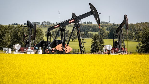 bc.-canola-growers-brace-for-new-chinese-tariffs-as-harvest-approaches