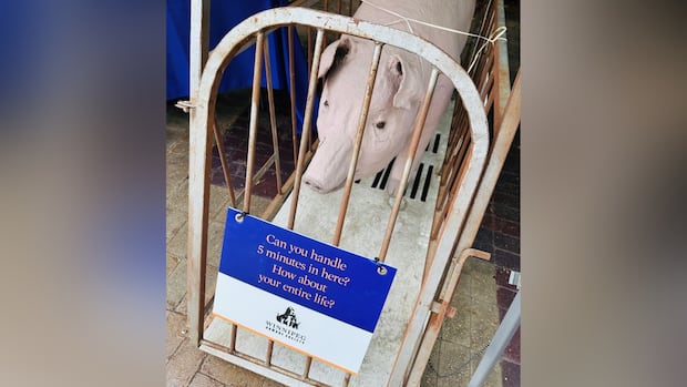 humane-society-asked-to-leave-hanover-fair-over-papier-mache-pig,-human-sized-cage