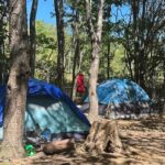 homeless-people-in-nova-scotia’s-woods-choosing-to-stay-despite-ban,-wildfire-risk