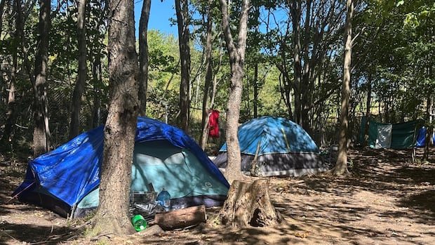 homeless-people-in-nova-scotia’s-woods-choosing-to-stay-despite-ban,-wildfire-risk