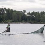 salmon-habitat-is-destroyed-for-development.-is-it-possible-to-replace-whats-lost?