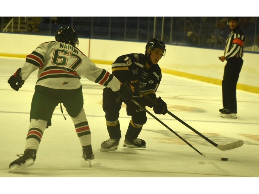 qmjhl:-cape-breton-eagles-open-preseason-with-shutout-win-over-halifax-mooseheads