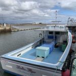 commentary:-confederation-bridge-is-not-to-blame-for-lobster-troubles