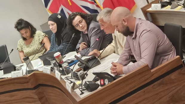 saint-john-councillor-proposes-smaller-city-council-with-higher-pay