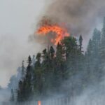 how-to-talk-to-your-children-about-wildfires