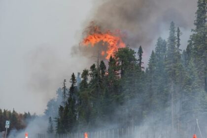 how-to-talk-to-your-children-about-wildfires