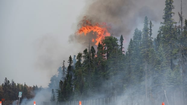 how-to-talk-to-your-children-about-wildfires
