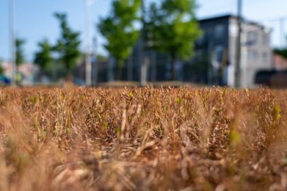 rideau-valley-water-supply-under-pressure-from-hot,-dry-weather