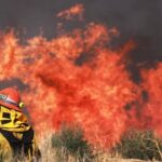 experts-say-manitoba-needs-better-forest-management-to-mitigate-wildfires-but-some-divided-on-best-practices