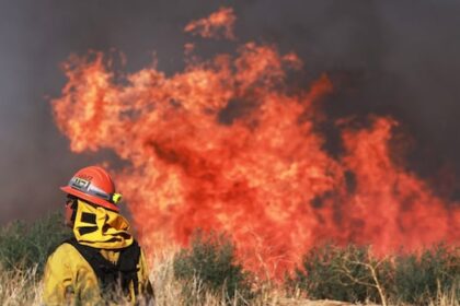 experts-say-manitoba-needs-better-forest-management-to-mitigate-wildfires-but-some-divided-on-best-practices