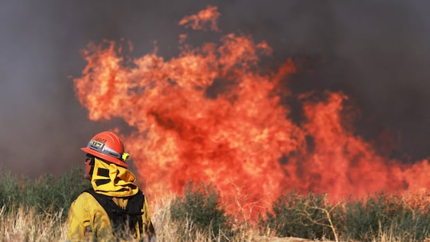 experts-say-manitoba-needs-better-forest-management-to-mitigate-wildfires-but-some-divided-on-best-practices