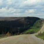 over-70,000-new-trees-have-been-planted-in-narrow-hills-provincial-park-since-fire-tore-through-area