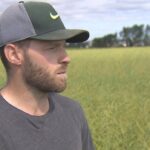 sask.-canola-farmers-already-feeling-strain-of-‘anti-dumping’-chinese-tariffs