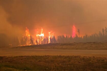 all-wildfire-evacuees-back-home-in-saskatchewan:-public-safety-agency