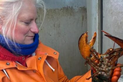 well-travelled-new-brunswick-lobster-caught-off-cape-cod,-mass.