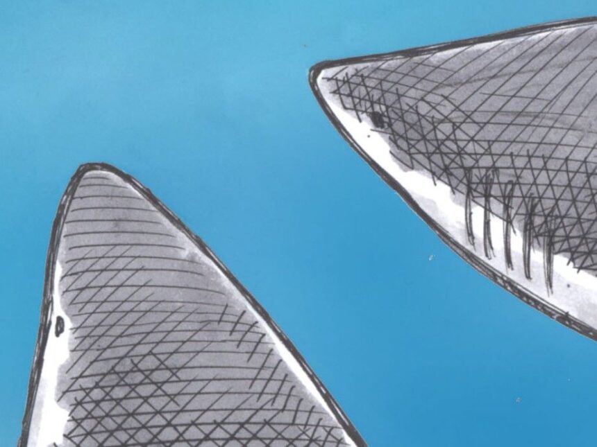 bruce-mackinnon:-survival-of-the-fittest-species?-sharks-can-bide-their-time