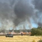 wave-of-fires-has-pei.-firefighters-warning-that-conditions-remain-perilously-dry