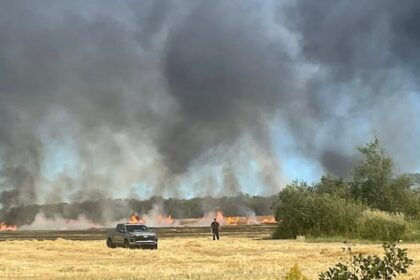 wave-of-fires-has-pei.-firefighters-warning-that-conditions-remain-perilously-dry