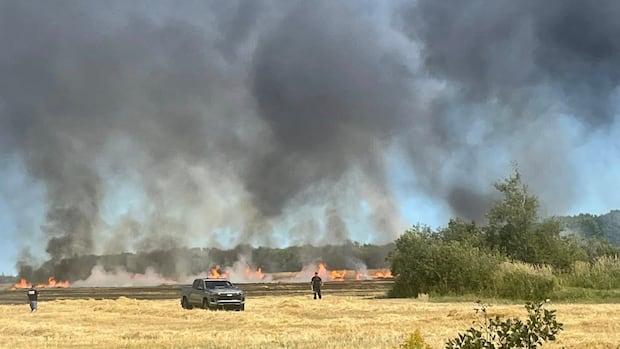wave-of-fires-has-pei.-firefighters-warning-that-conditions-remain-perilously-dry
