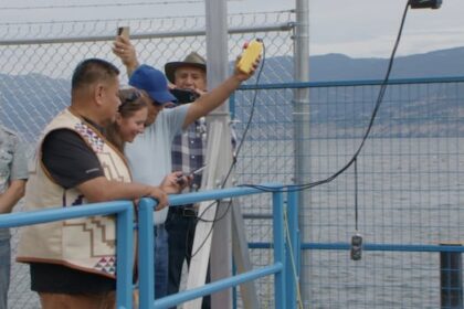 for-the-first-time-in-over-a-century,-sockeye-salmon-are-able-to-return-to-okanagan-lake
