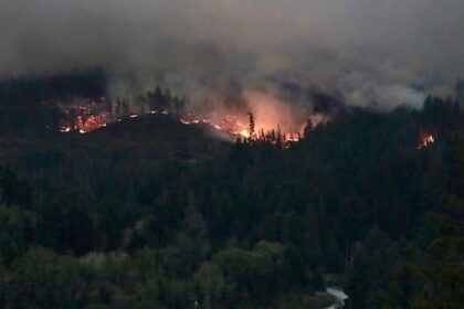 new-approaches-needed-for-canada-to-prepare-for,-combat-wildfires:-experts