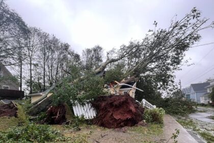 expert-worries-cuts-to-hurricane-research-in-us.-might-cloud-forecasting-in-canada
