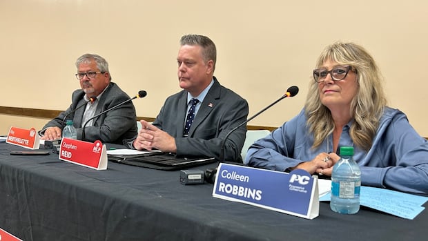pc-candidate-apologizes-for-error,-new-democrat-struggles-on-health-care-at-spruce-woods-byelection-debate