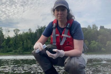 increased-cyanobacteria-reports-in-nb.-linked-to-public-awareness,-extreme-climate