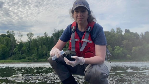increased-cyanobacteria-reports-in-nb.-linked-to-public-awareness,-extreme-climate