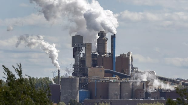 judge-approves-process-to-sell-off-northern-pulp-assets