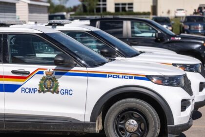 cape-breton-police-investigating-stolen-side-by-side-in-port-hawkesbury