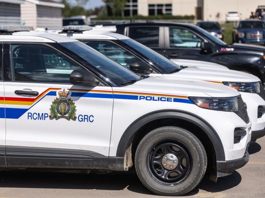 cape-breton-police-investigating-stolen-side-by-side-in-port-hawkesbury