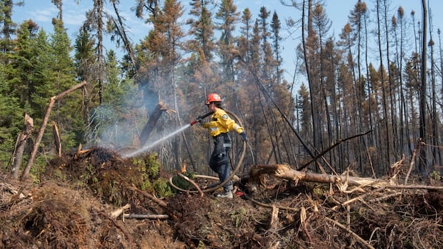 active-wildfires-in-new-brunswick-dwindling,-with-largest-blaze-showing-no-growth