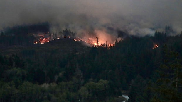 vancouver-island-wildfire-downgraded-again,-no-longer-a-fire-of-note
