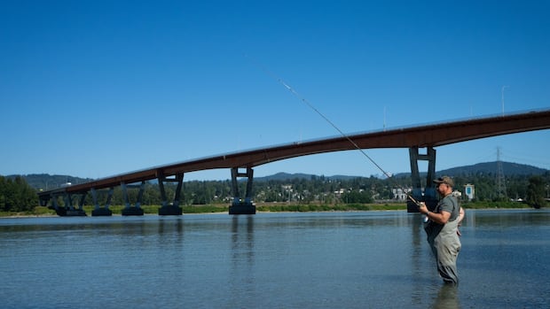 bc.-recreational-anglers-get-rare-chance-to-reel-in-sockeye-amid-bumper-salmon-run