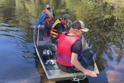 salmon-used-to-thrive-in-75-pei.-rivers,-but-factors-including-climate-change-have-cut-into-that