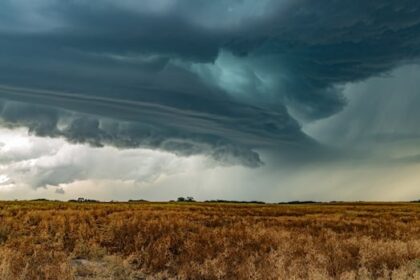 groups-assessing-damages-after-intense-storms-in-central-sask.