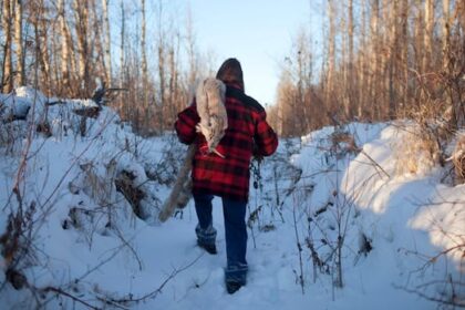 trappers-expecting-‘catastrophic’-trapline,-income-losses-as-wildfires-continue-to-burn-across-prairies