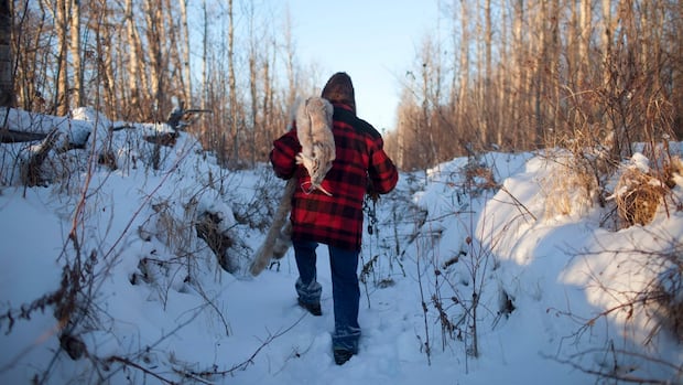 trappers-expecting-‘catastrophic’-trapline,-income-losses-as-wildfires-continue-to-burn-across-prairies