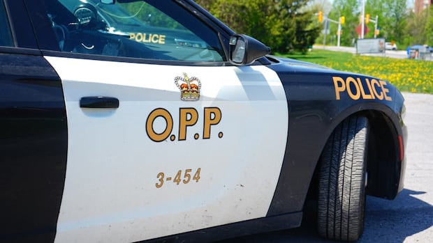 police-officers-injured-after-being-hit-by-alleged-street-racer