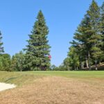 why-the-drought-is-good-or-bad-news-for-some-nova-scotia-businesses