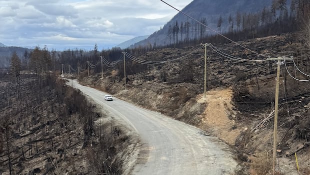 power-to-be-restored-for-hundreds-affected-by-vancouver-island-wildfire