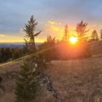 bc.-magnesium-mine-won’t-need-environmental-assessment,-critics-disappointed